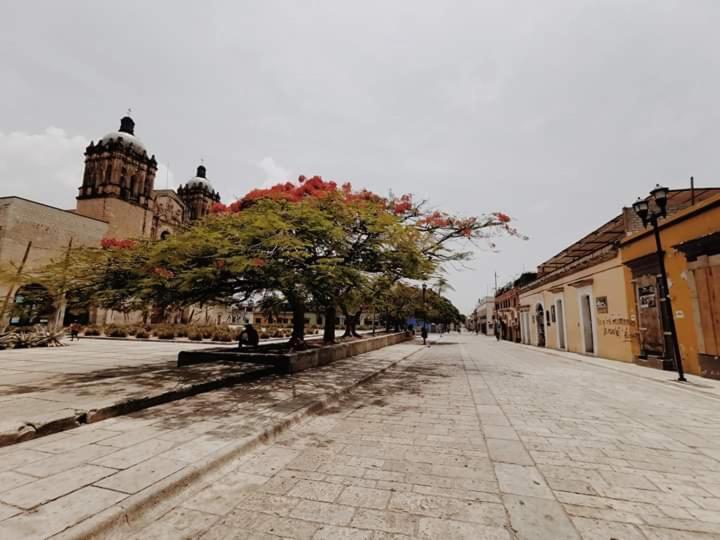 De Americas Hostel Oaxaca
